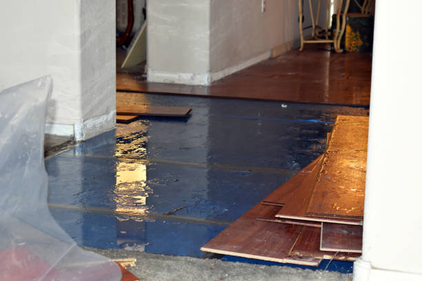 Professional Water Damage Restoration technician working in Willis, MI